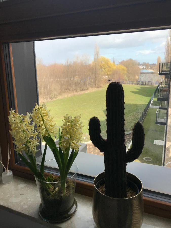 Baltic Riviera Apartments - Garden Sanctuary Retreat グダニスク エクステリア 写真
